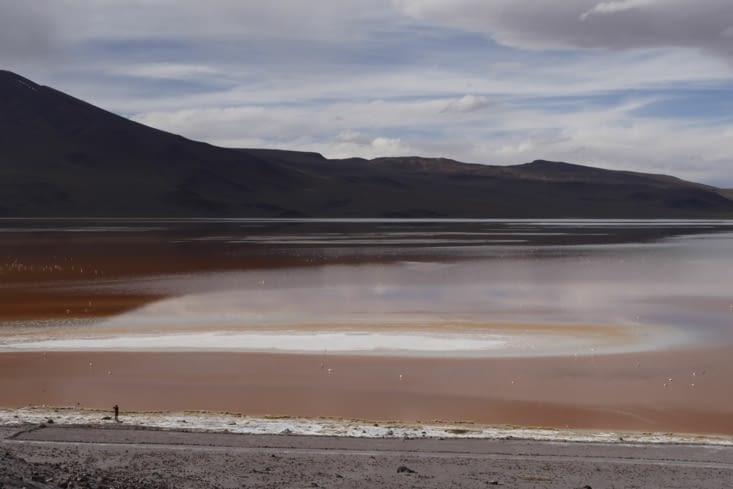 Laguna Colorada
