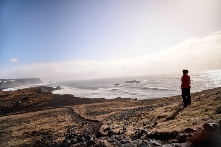 Vue sur la plage de Reynisfjara