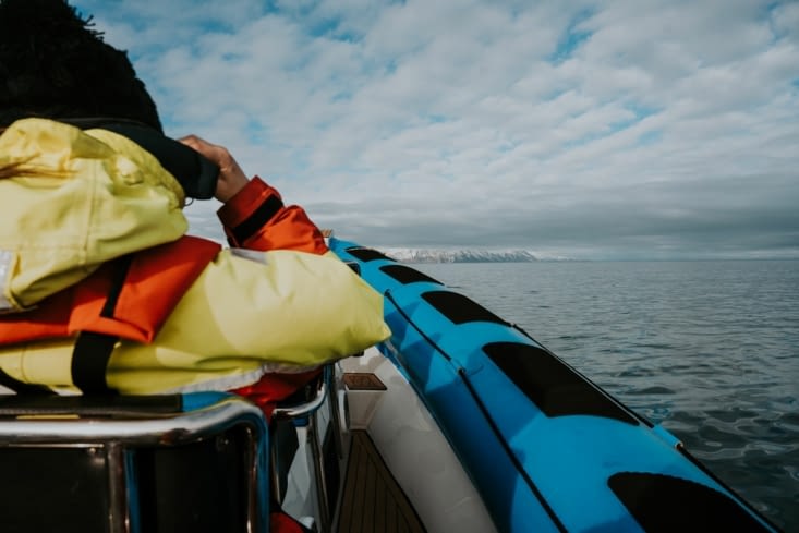 Direction la baleine à bosse