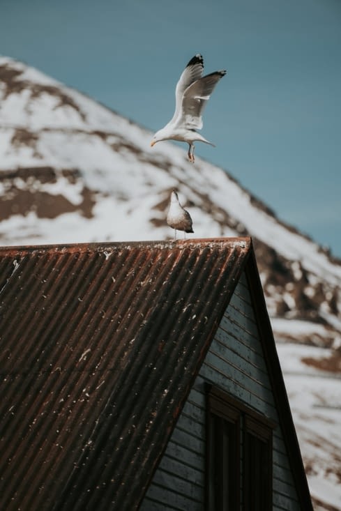 Mais que fait-il celui là ?