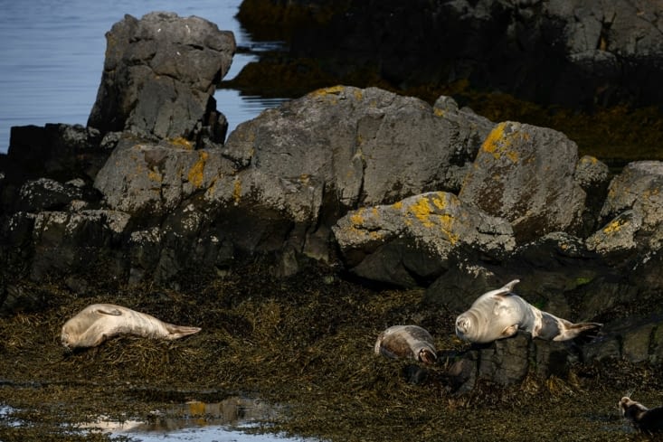 La vie n'a pas l'air trop difficile pour certains...