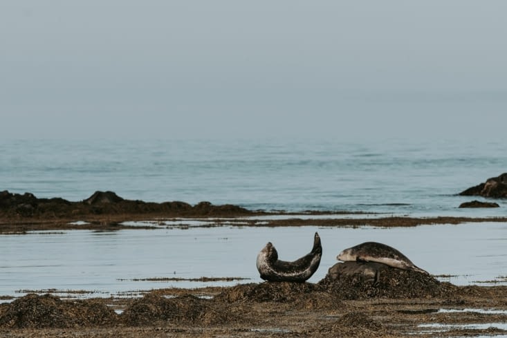 Petit tour de contorsionniste