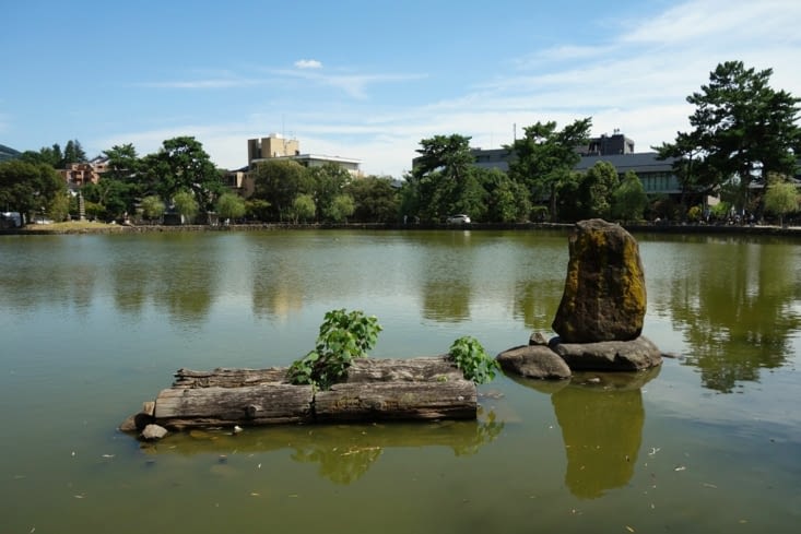 Etang près du parc / Pond near the park