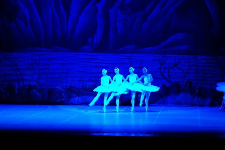 Le lac des cygnes / Swan lake