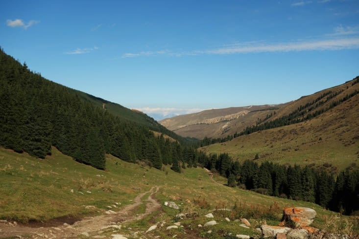 Que demander d'autre ? / What else ?