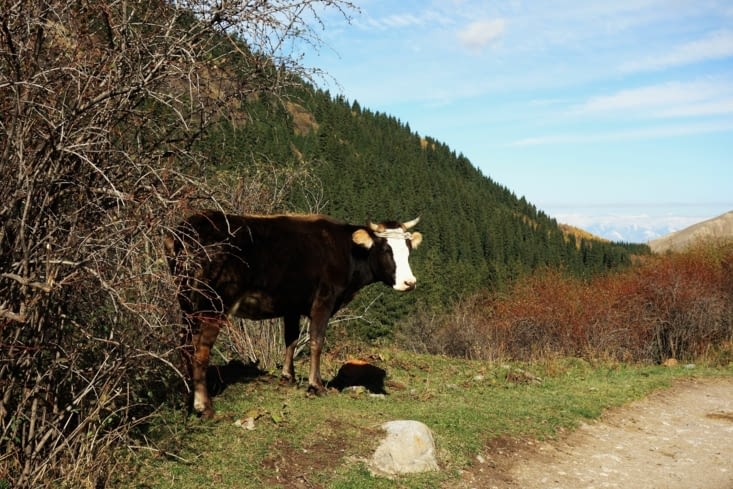 Sur le bord de la route un auto stoppeur / Along the road someone hitch hiking