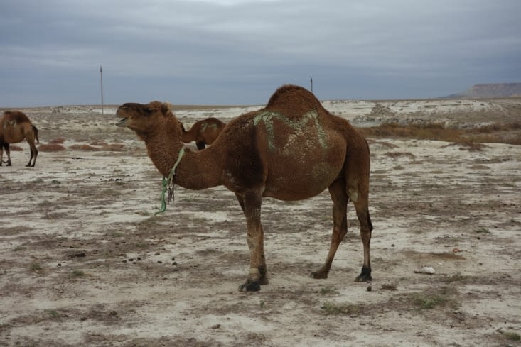 Est-ce qu'il ne sourit pas ? / Isn't it smiling ?