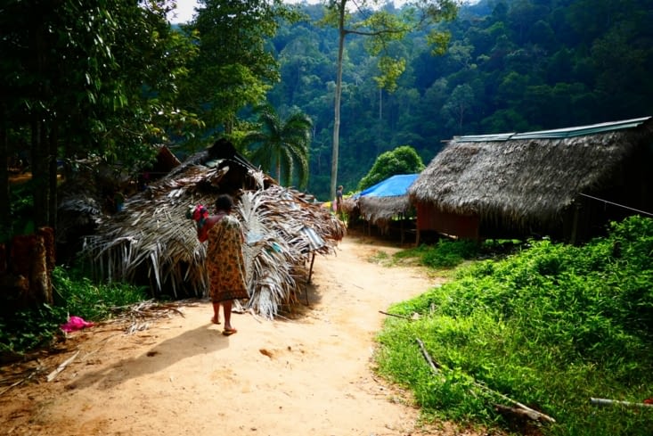 Visite du village aborigène en pleine jungle