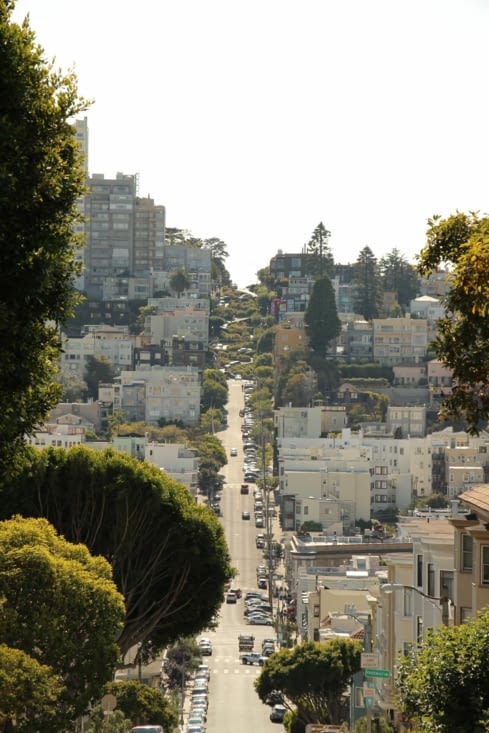 Scenic drive : Lombard Street