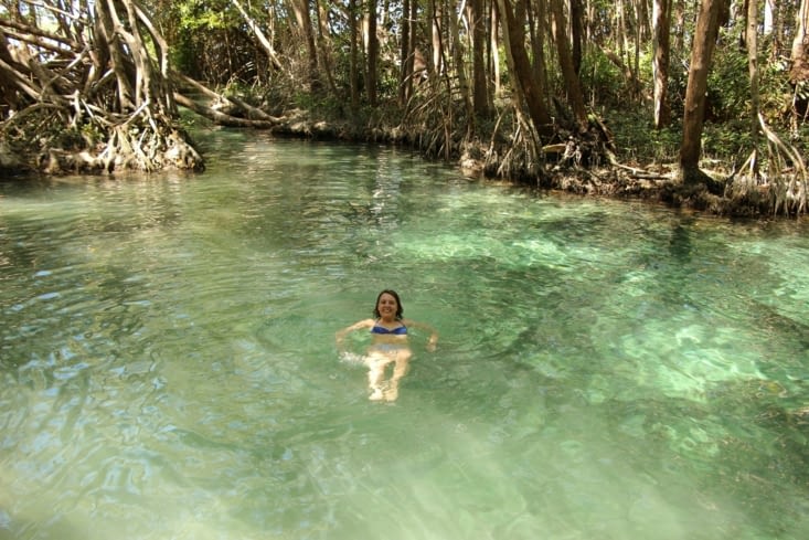 Baignade rafraichissante dans la mangrove