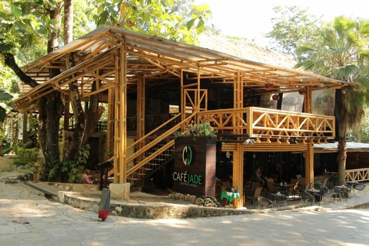 Bon café du Chiapas !