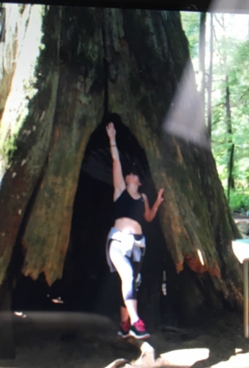 Cathedral Grove