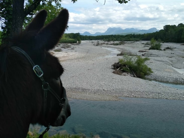 Elle est belle la drôme, et toujours les 3 becs...