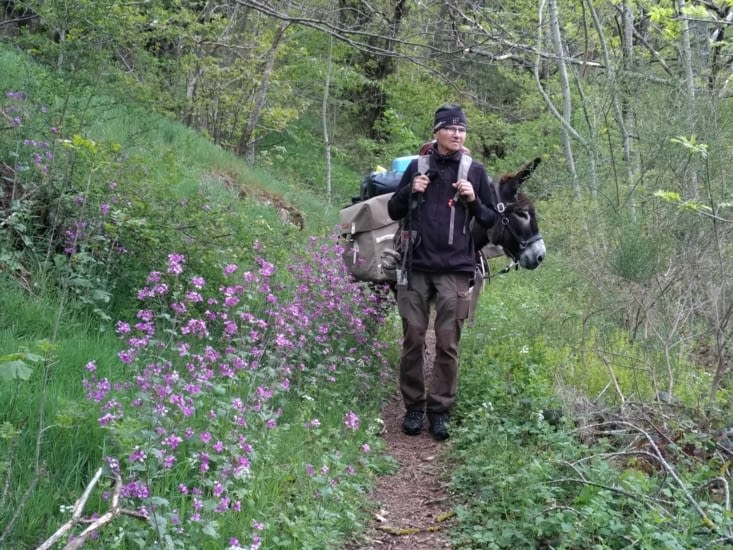 Les monnaies du pape bordent bien des chemins