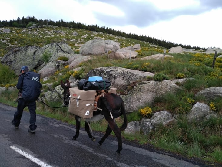 Mais je dois reconnaître que c'est beau