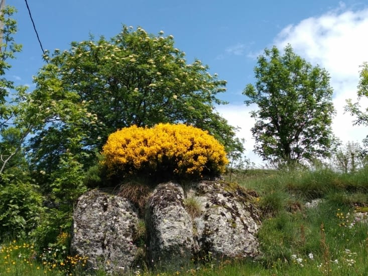 La touche de Lucile  ;)