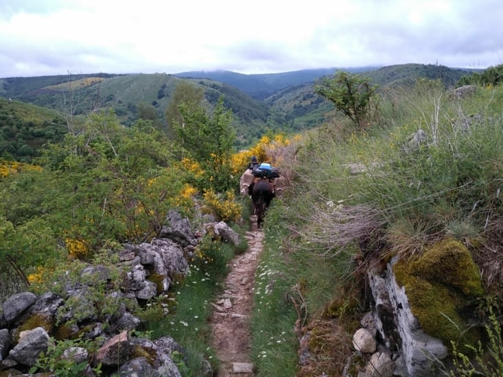 Des sentiers pas simples...