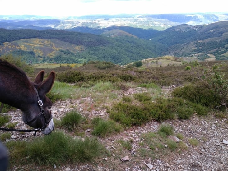 Enfin en haut avec du paysage