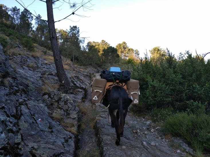 Photo que de la montée car la descente c'était autre chose !