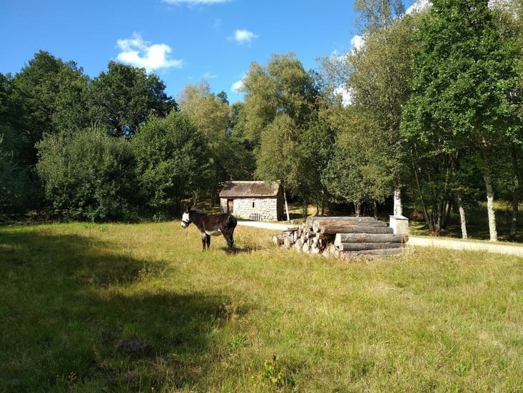 De l'ombre, du soleil