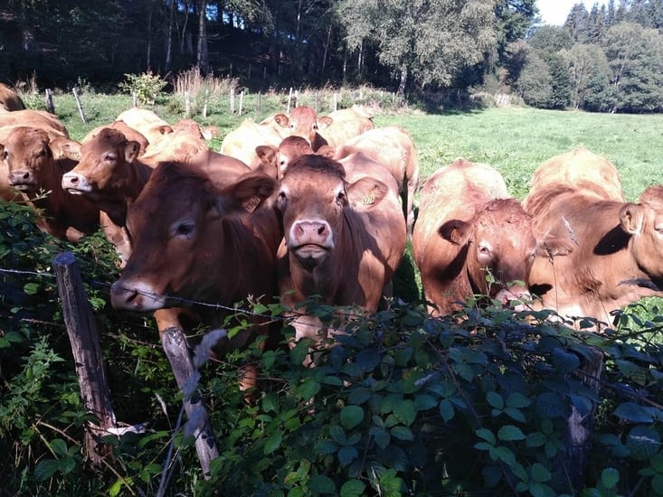 Quelque soit le lieu je suis une star !