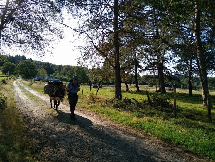 Tranquilles comme un âne et des âniers     ;)