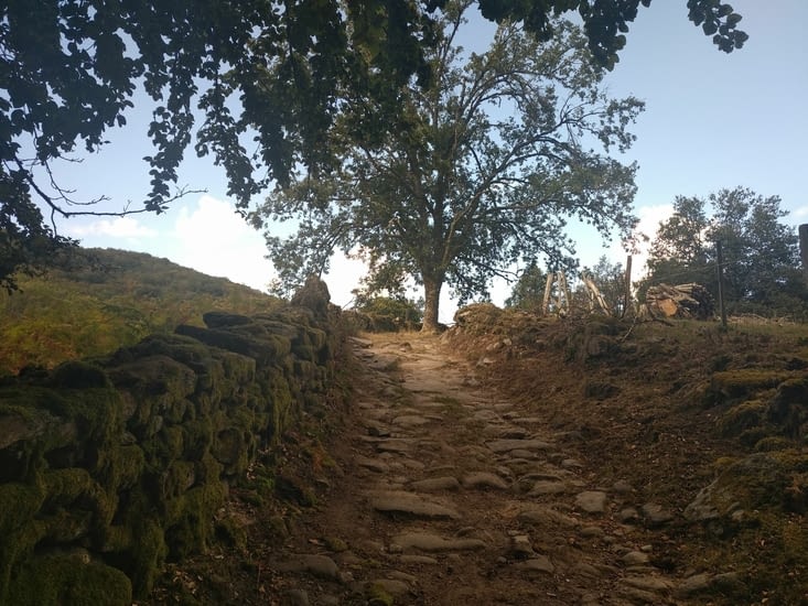 Les anciens ont bien travaillé