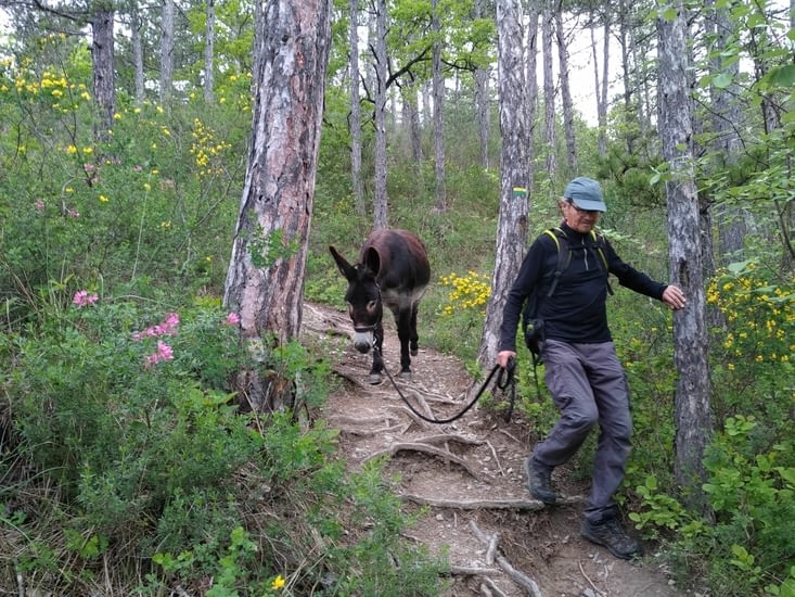 Heureusement que je n'ai pas mon bât sur le dos,