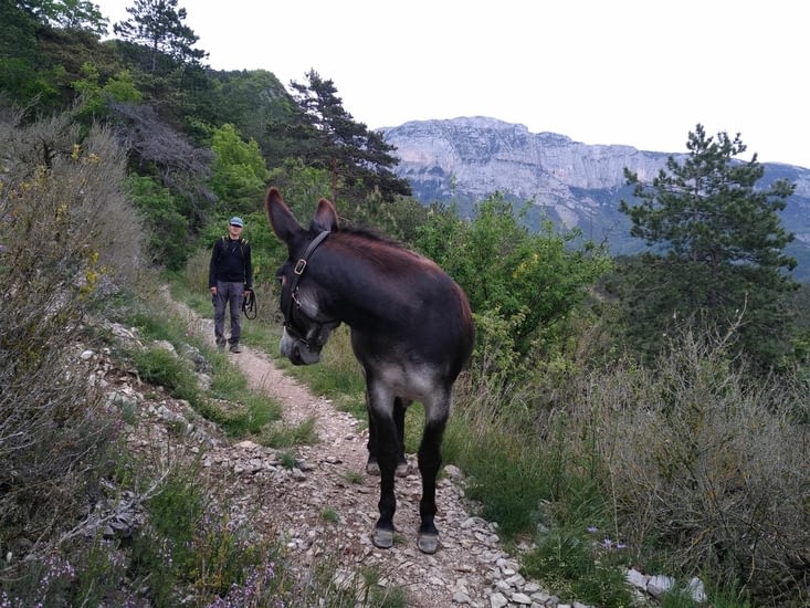 Il n'est pas rapide le chef...