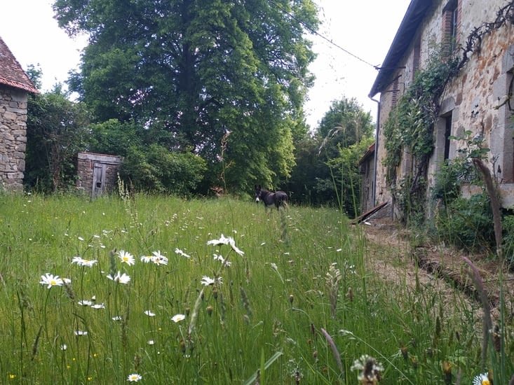 Et au final un bel accueil