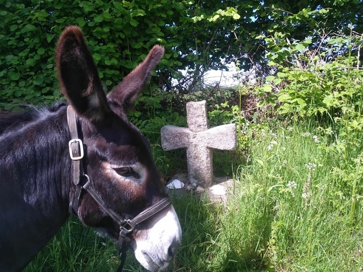 Et oui, chemin de Compostelle