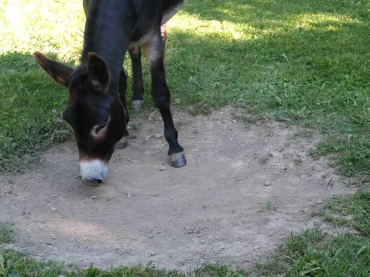 1- je hume pour le contrôle