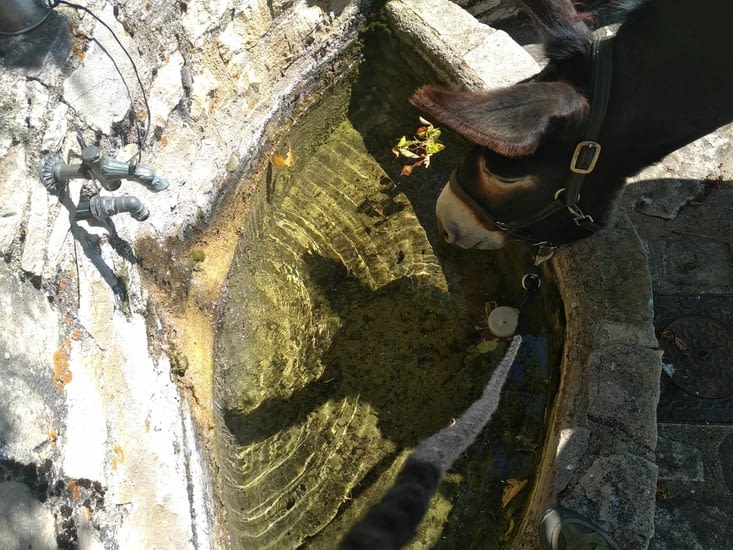 C'est l'ombre de qui ?