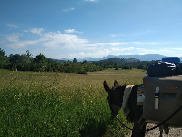 Là je bivouakerais bien