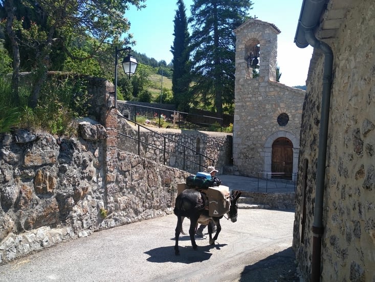 Superbe nid d'aigle ce Rimon