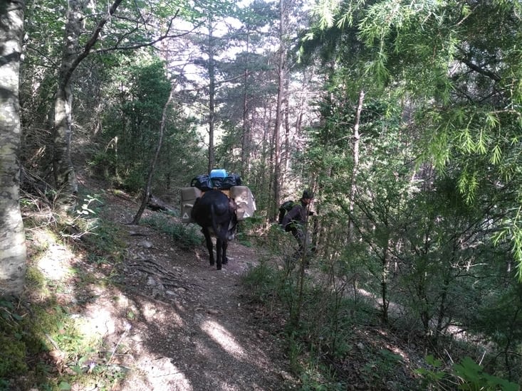 Waouh, on attaque fort,