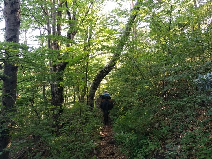 De la fraîcheur, j'aime