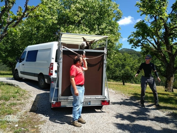 Le final pour Sancho est moins drôle...