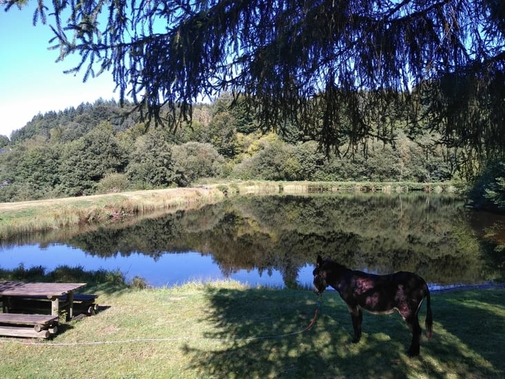 On retrouve ce camping bucolique, Sancho apprécie et nous aussi