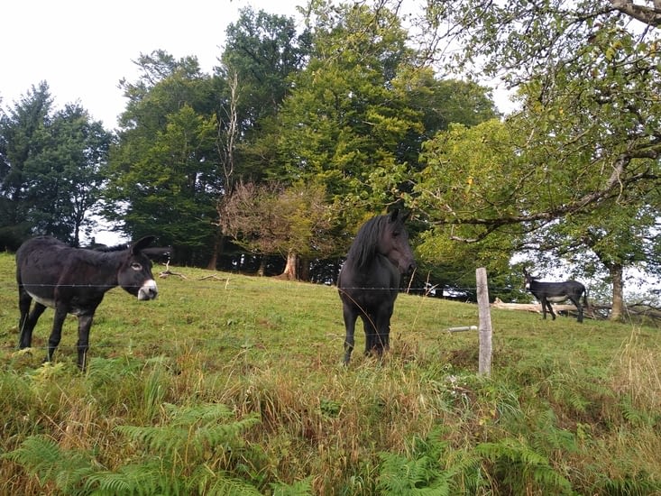 Des copains et on ne s'arrête même pas
