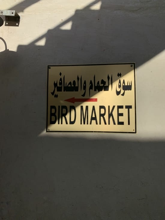 Bird marcket