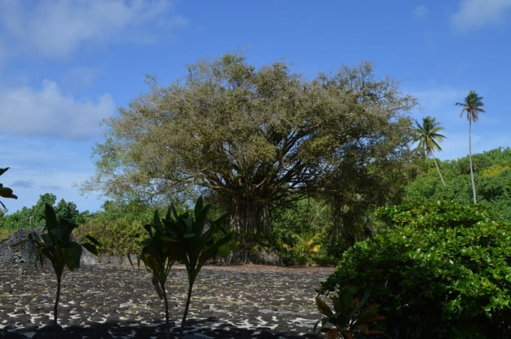 Le marae de Taputapuaeta, classé en 2017 au Patrimoine mondial de l'Unesco
