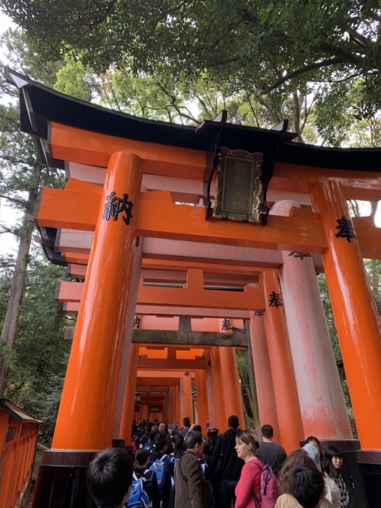 Le début des toriis