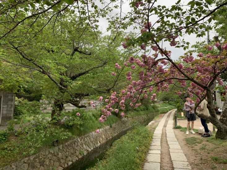 Petite promenade dans la nature de Kyoto
