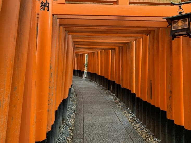 Torii