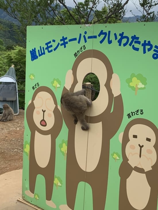 Ils veulent faire comme nous !