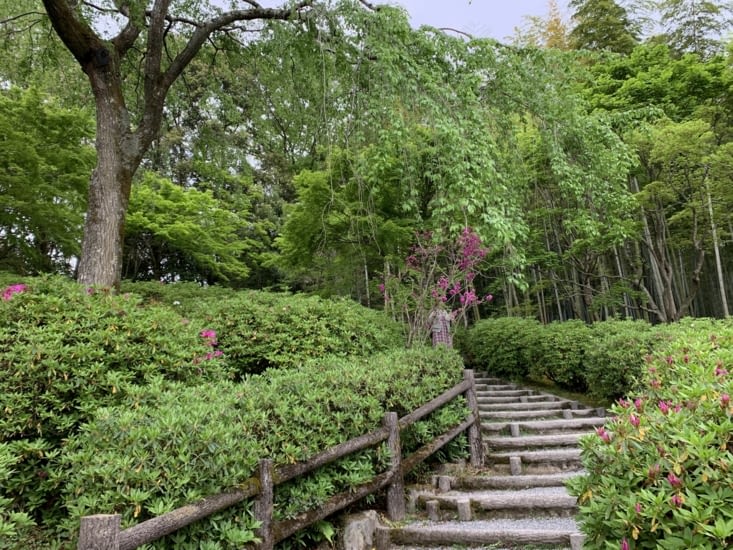 Jardin zen d’un temple