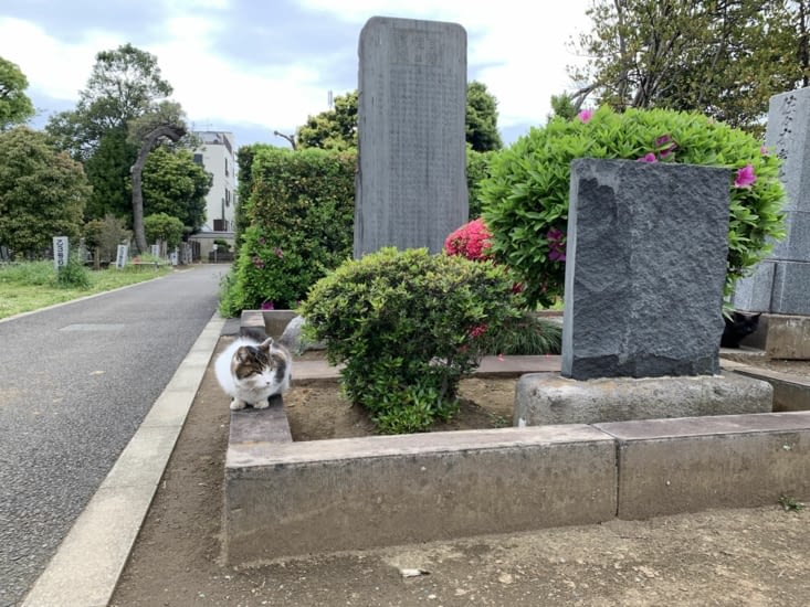 Cimetière de Yanaka