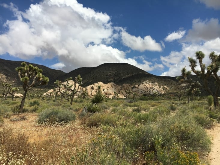 Ryan Ranch Trail