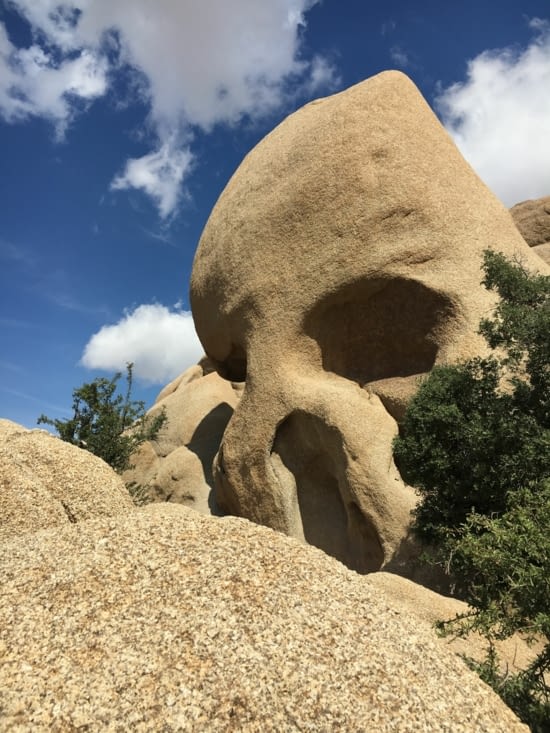 Skull Rock